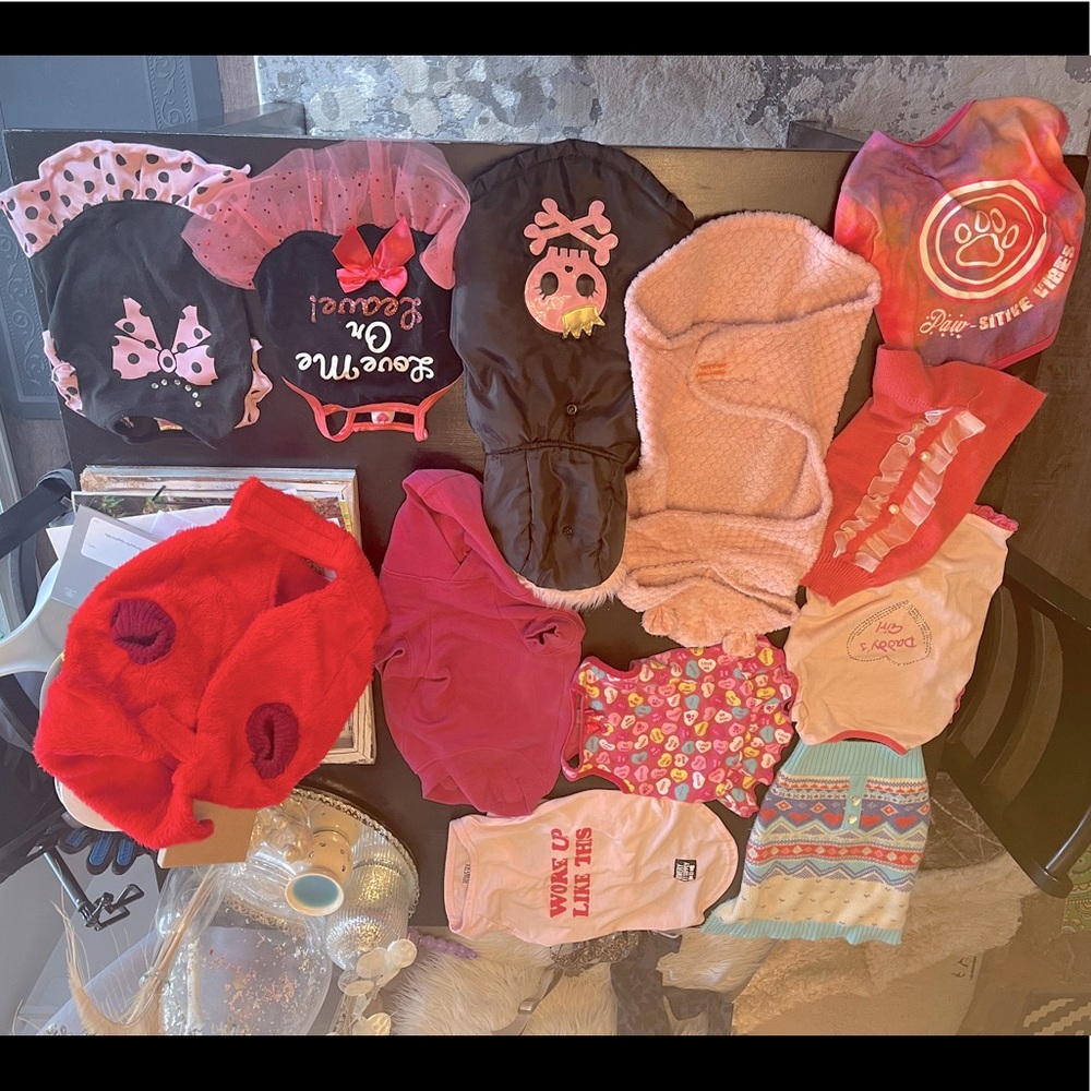 Dog clothes bundle female jackets, dresses, sweaters, tees